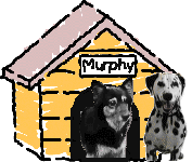 Atlas & Murphy's Groovie Kennel